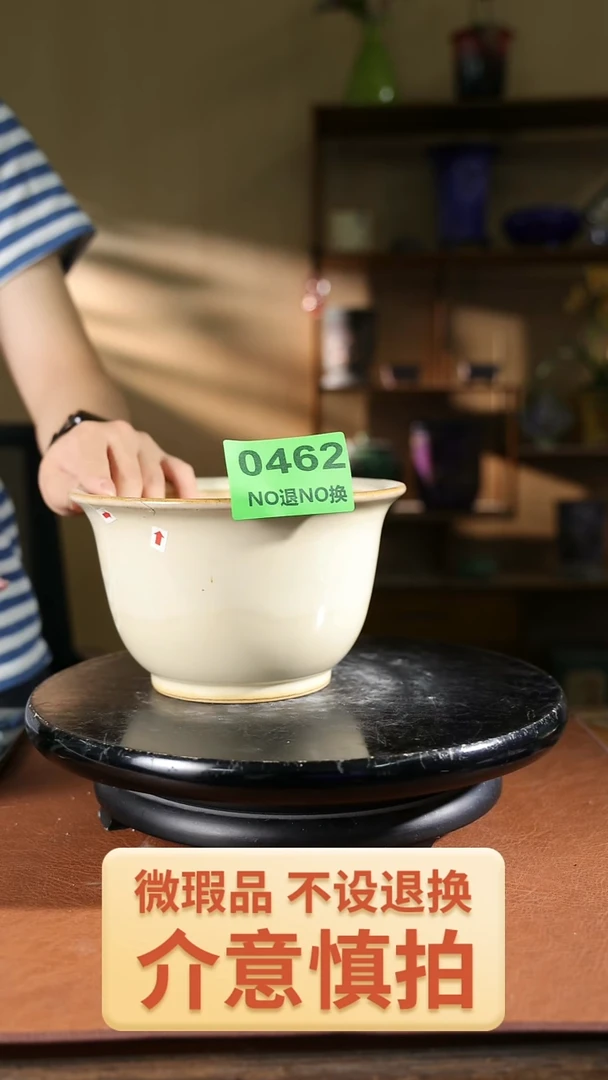 矮金钟 瑕盆不退换看清楚拍 462