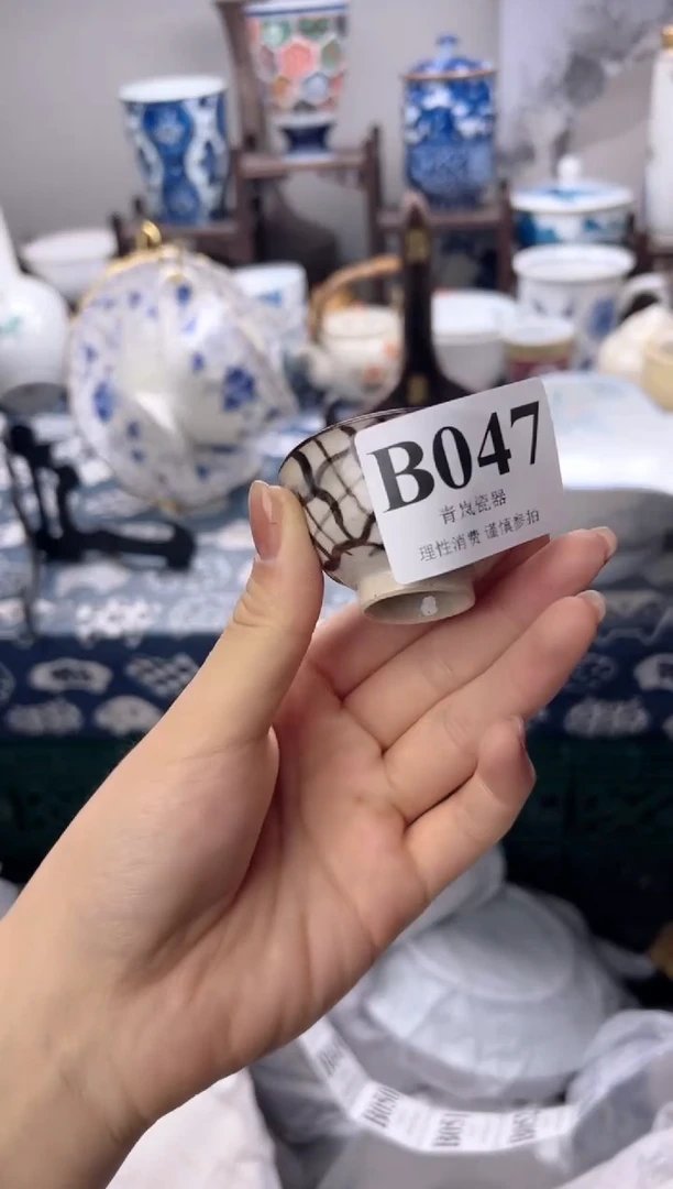 瓷片、****.    B047