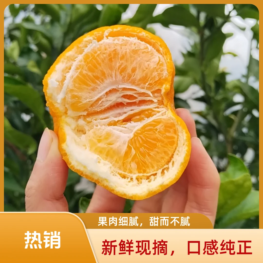 四川春见耙耙柑自然成熟健康美味