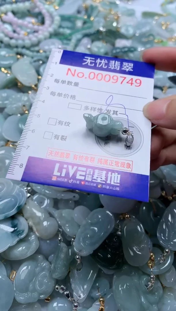 翡翠未镶嵌吊坠(不含链)9749