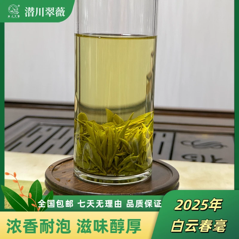 【潜川翠薇】爆款2025年雨后庐江汤池白云春毫