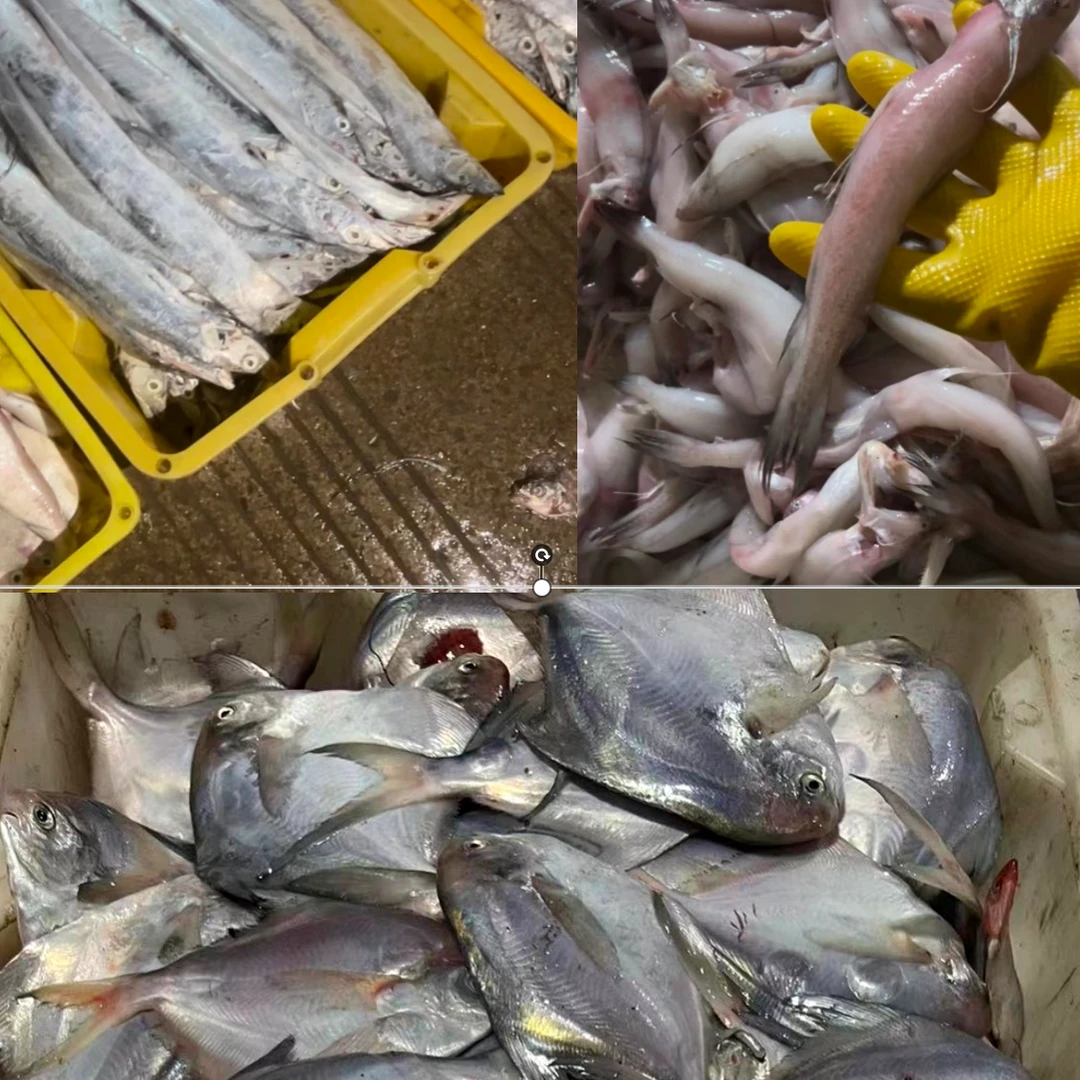 1东海海鲜现称现卖 现场改价