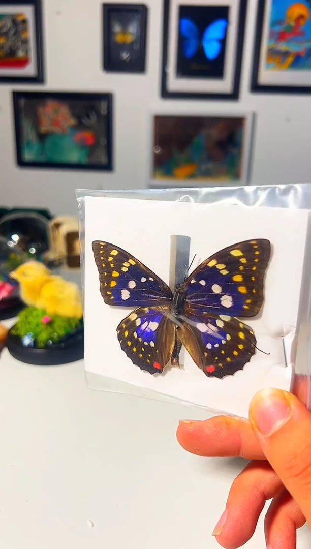 有机玻璃18185828