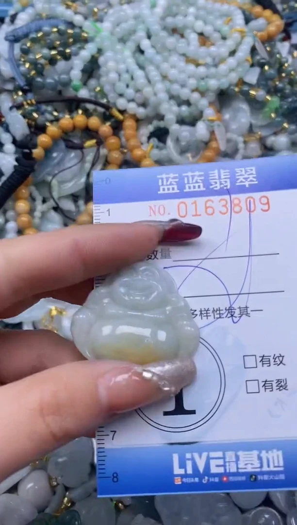 【闪购商品】翡翠颈饰未镶嵌闪购0163809多样性发其一