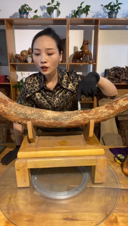 金丝楠阿祥金丝楠闪购链接