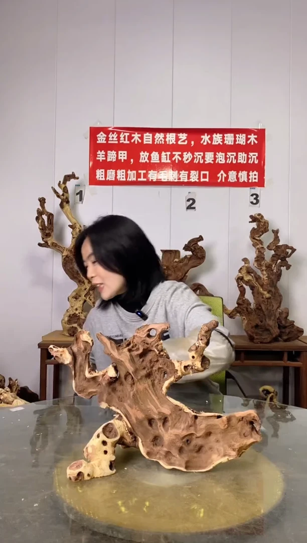 【闪购商品】香榧木28金丝红木 羊蹄甲