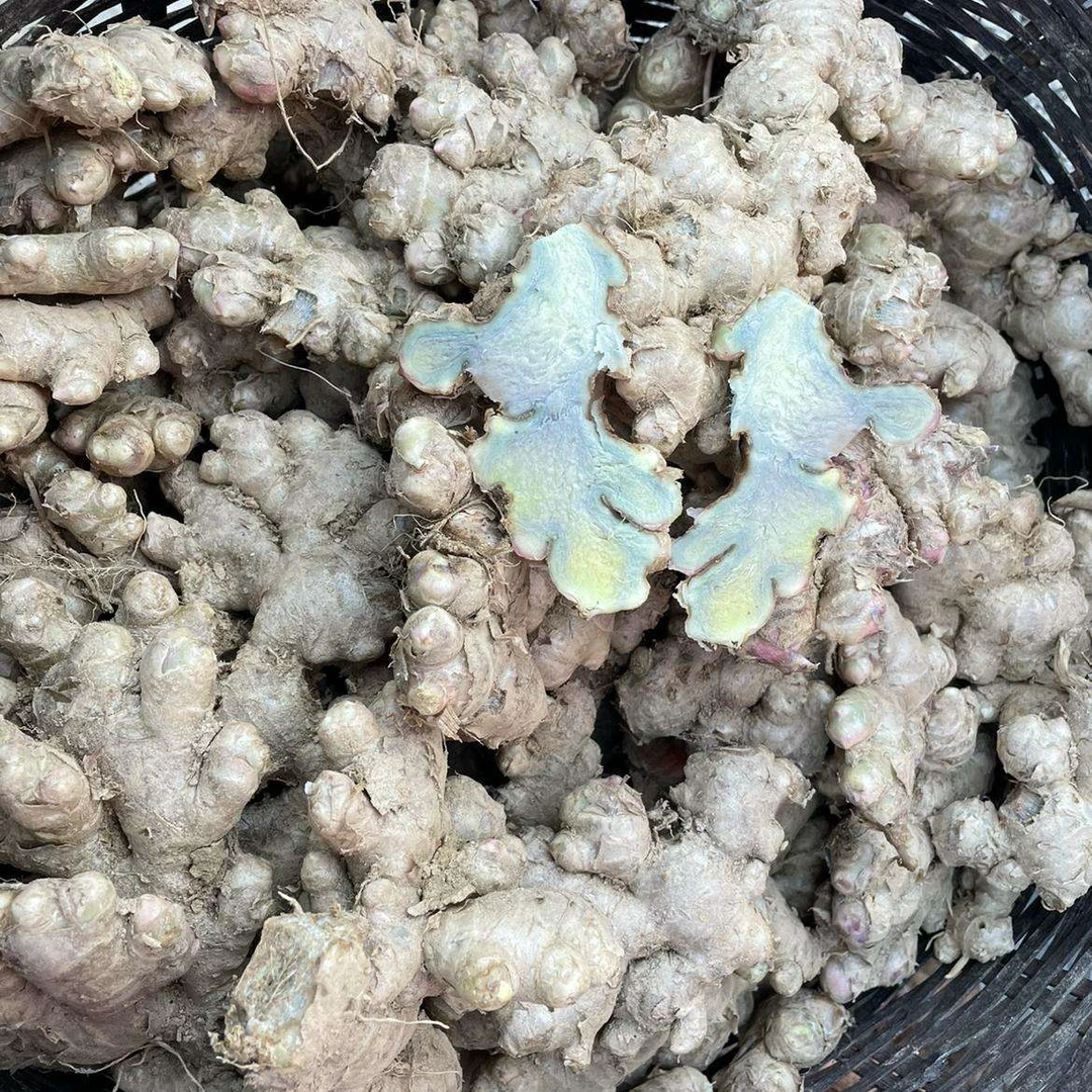 【现收】农家特产食用农产品——9——