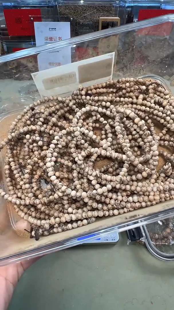 柬埔寨5mm念珠多样性发其一