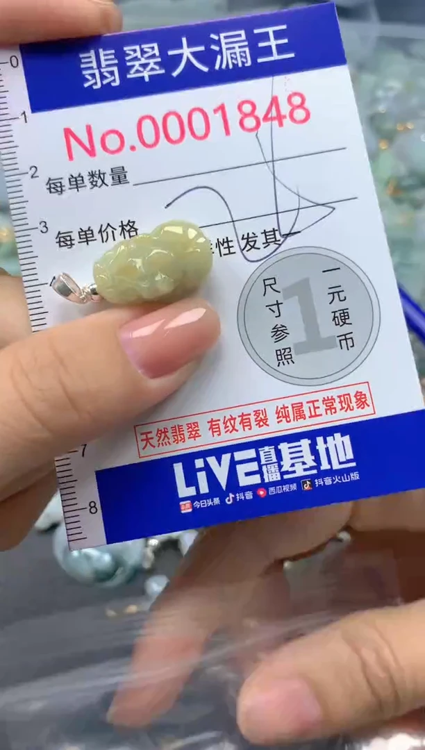 颈饰未镶嵌翡翠1848