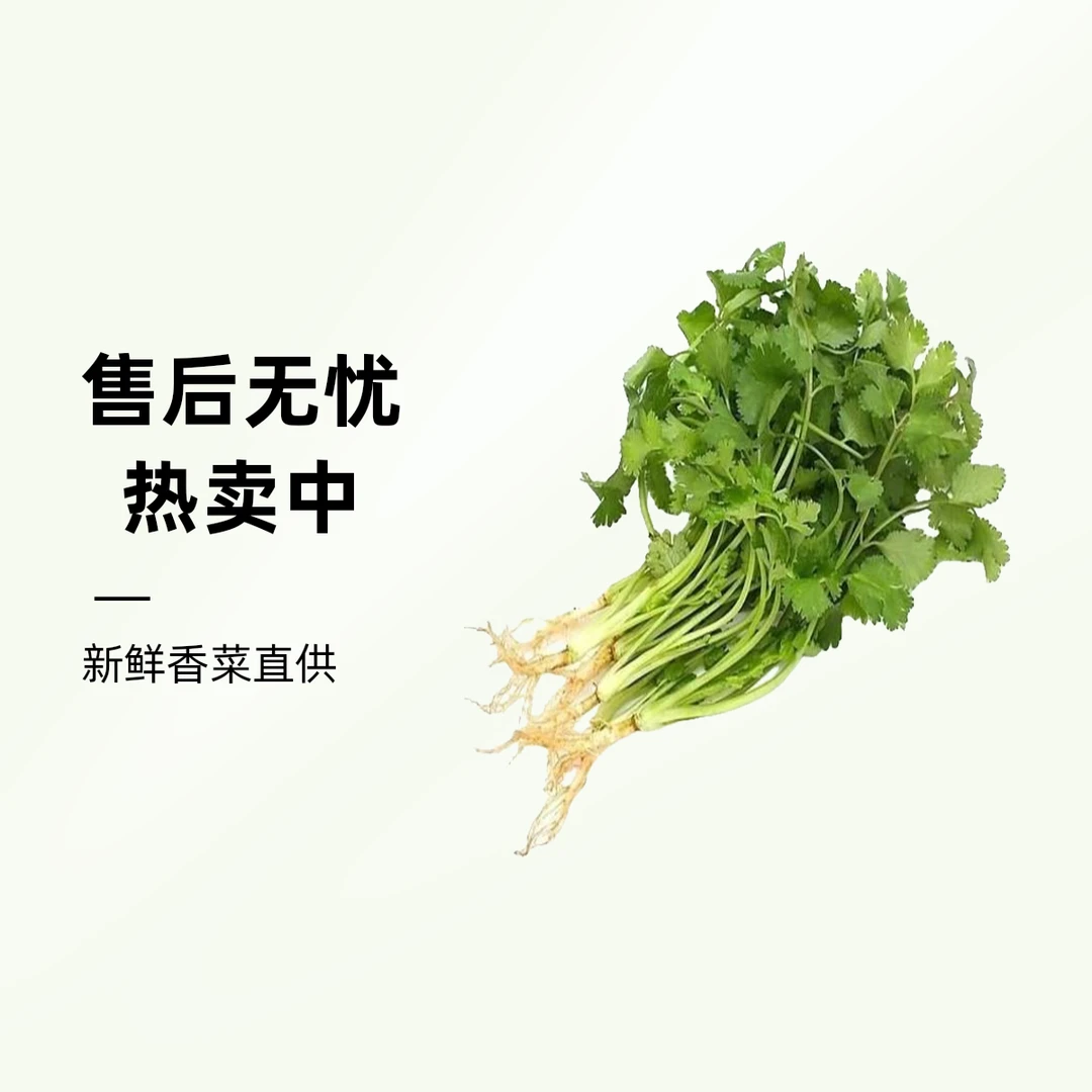 小香菜100g±20g·地产【好东西】