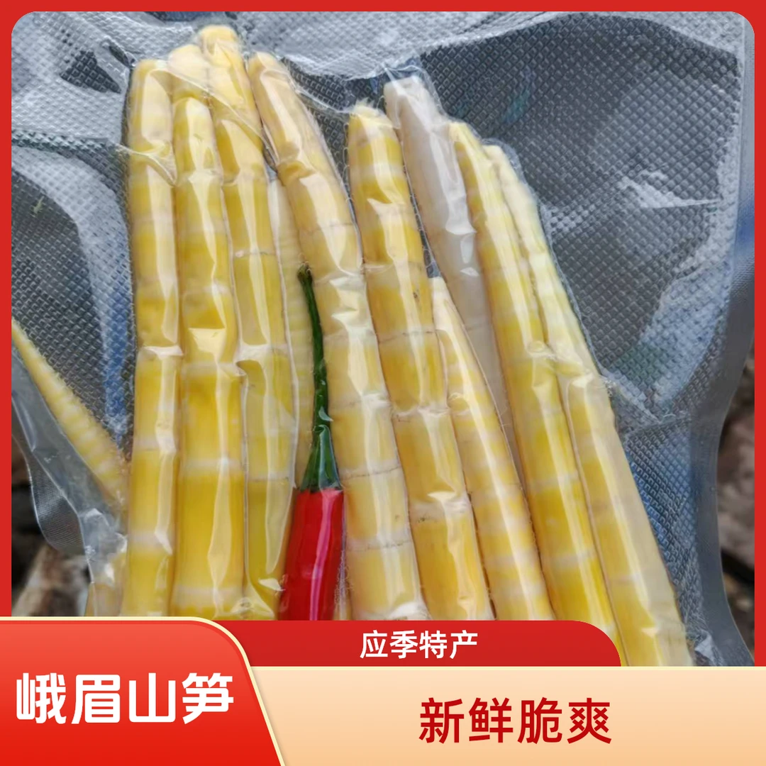 正宗四川峨眉山剥壳脆爽鲜竹笋新鲜应季竹笋好吃不贵包邮发货