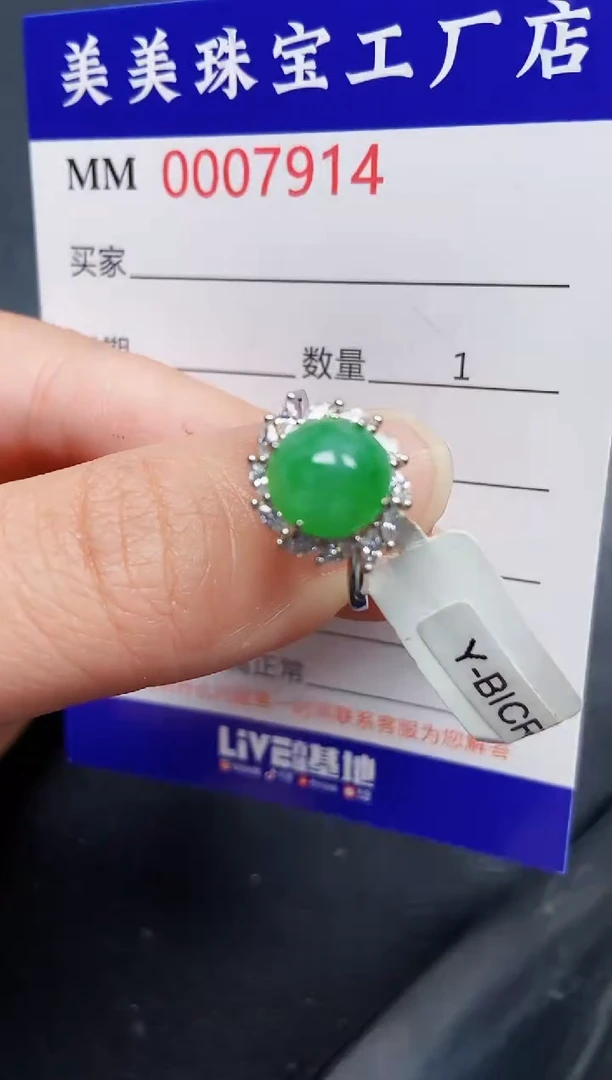 翡翠银S925镶嵌颈饰7914