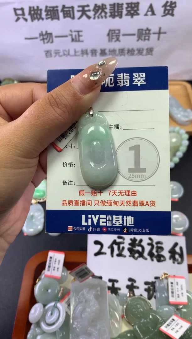 颈饰未镶嵌翡翠1