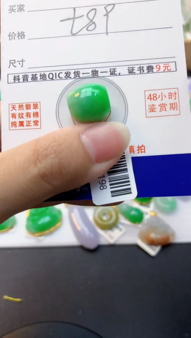 颈饰未镶嵌翡翠天然缅甸A货翡翠
