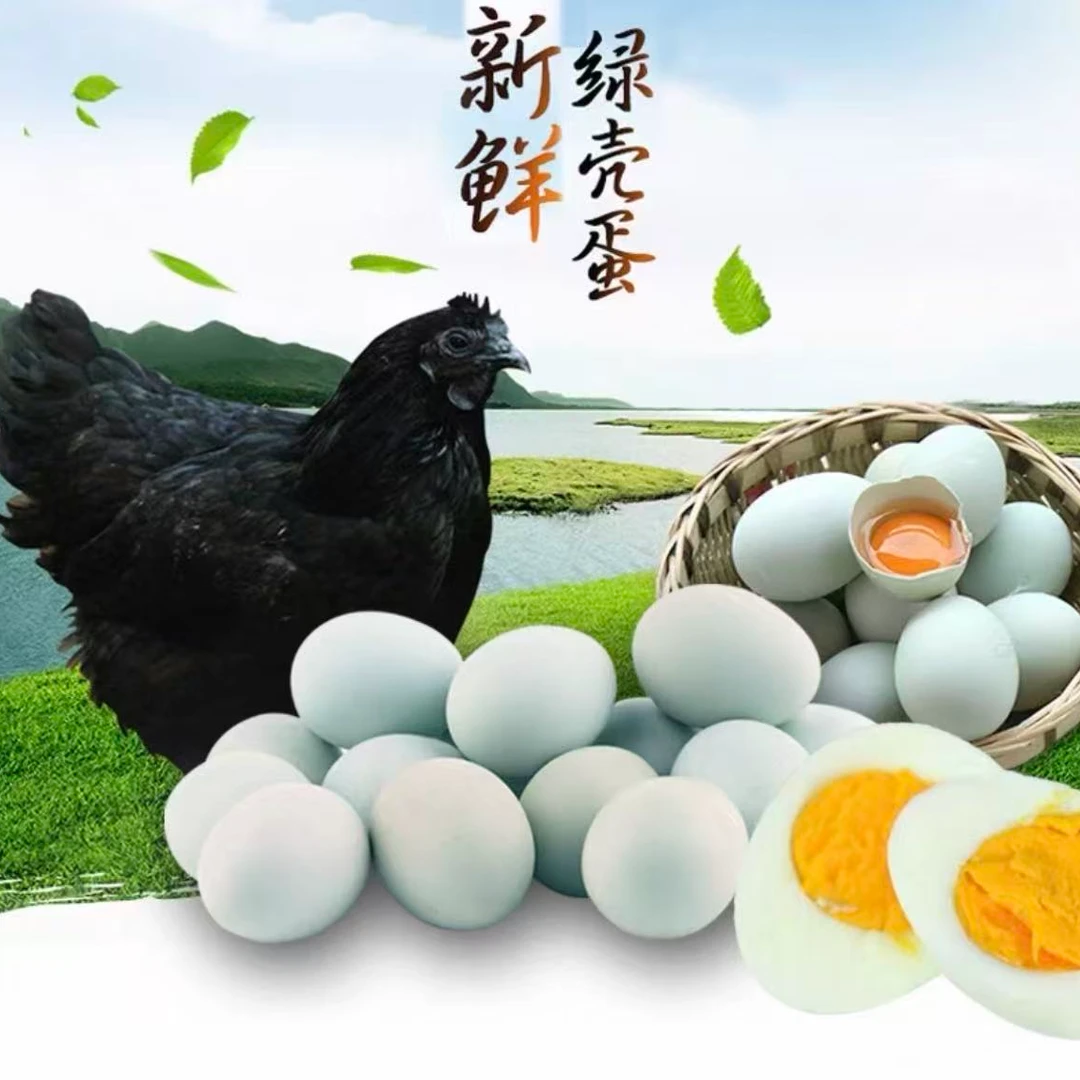 【供销邮选】正宗绿色散养生鲜鸡蛋新鲜生鸡蛋健康农家土鸡蛋农产品