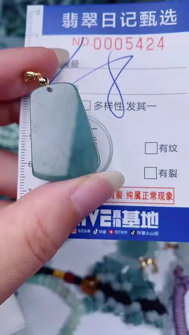 翡翠未镶嵌颈饰00005424