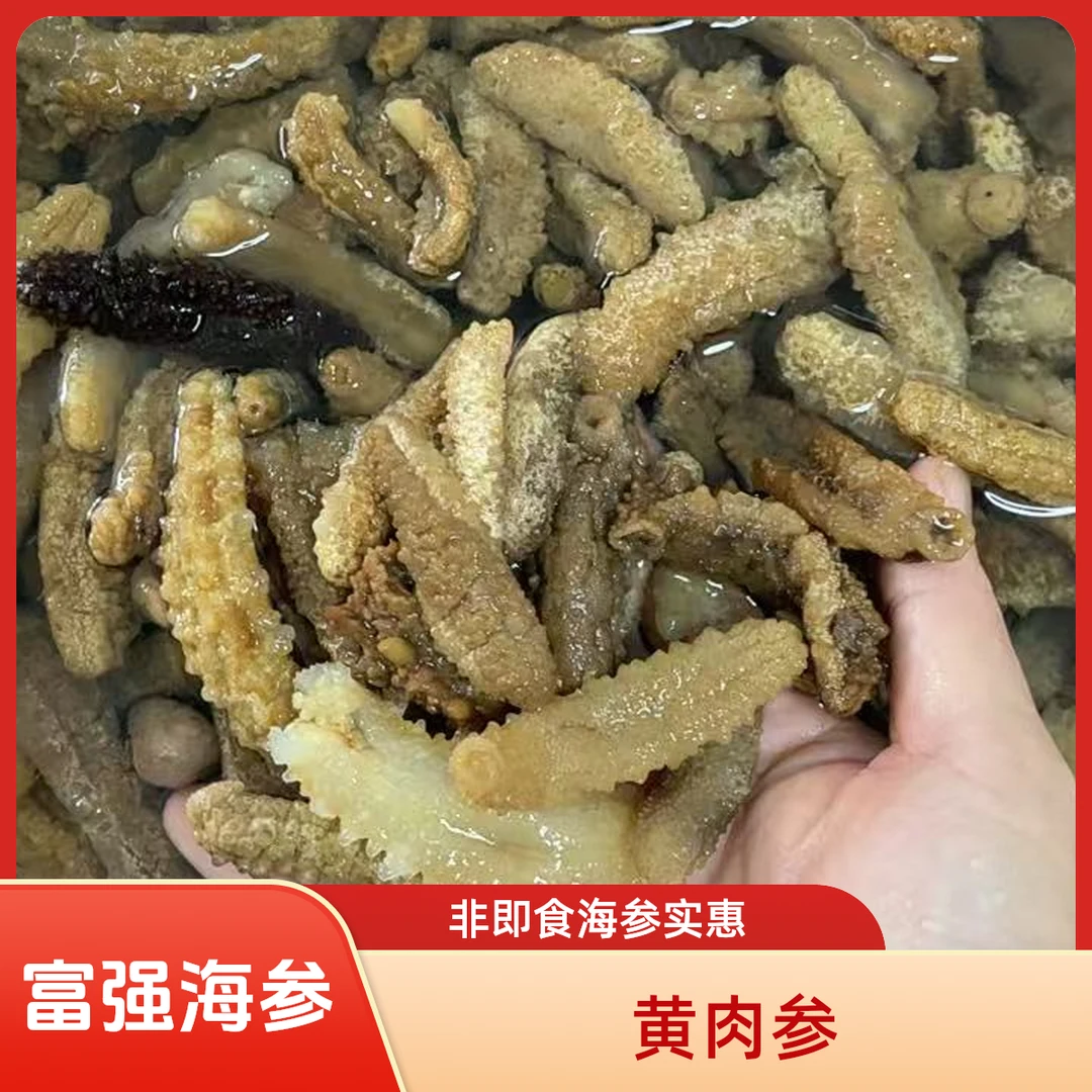 黄玉海参干货淡干黄金海参黄肉参白黄玉参酒店食材非即吃辽参