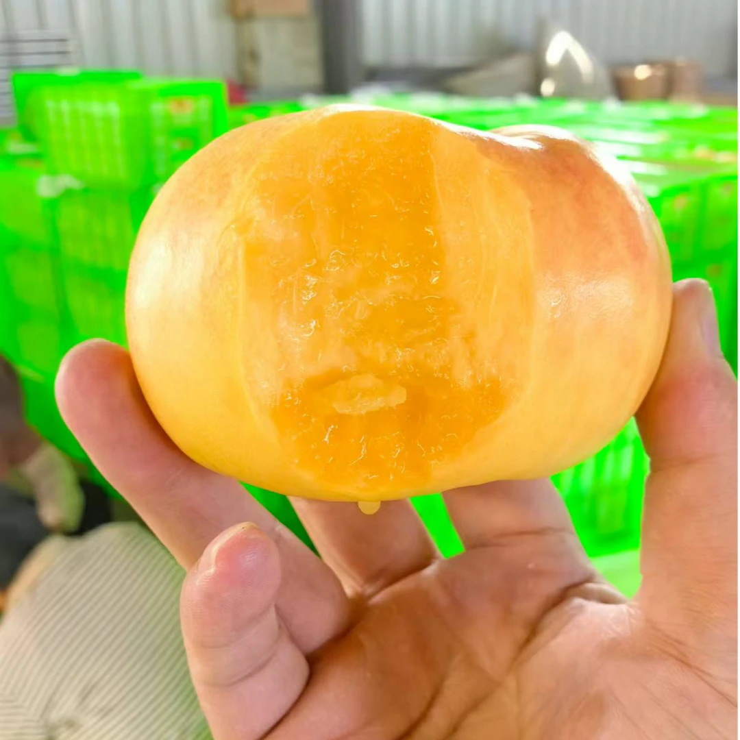【粉丝专属】桃子黄金油蟠桃7山东纯甜蜜桃蒙阴桃新鲜水果