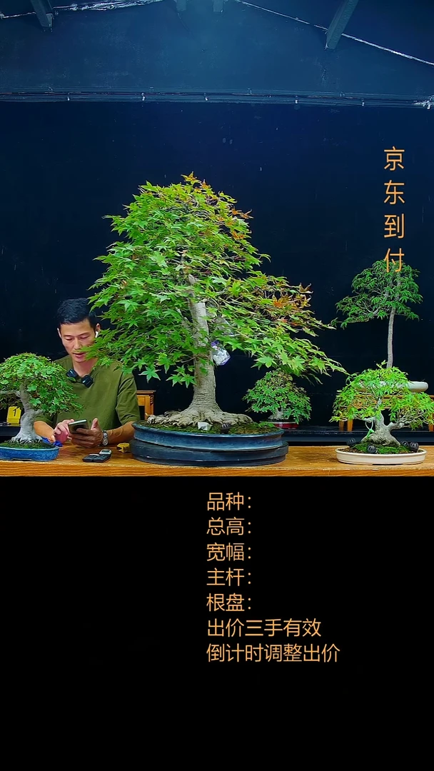 无花朵大***饱00000000邮费
