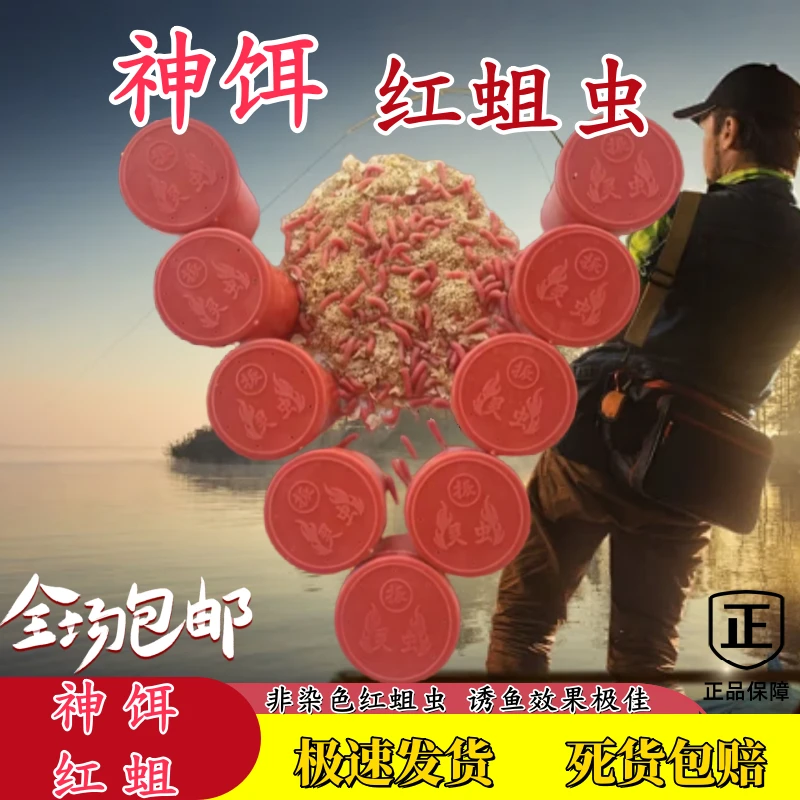爆款腥味鲜活红蛆虫溪流湖泊水库野钓鲫鱼石斑马口通用