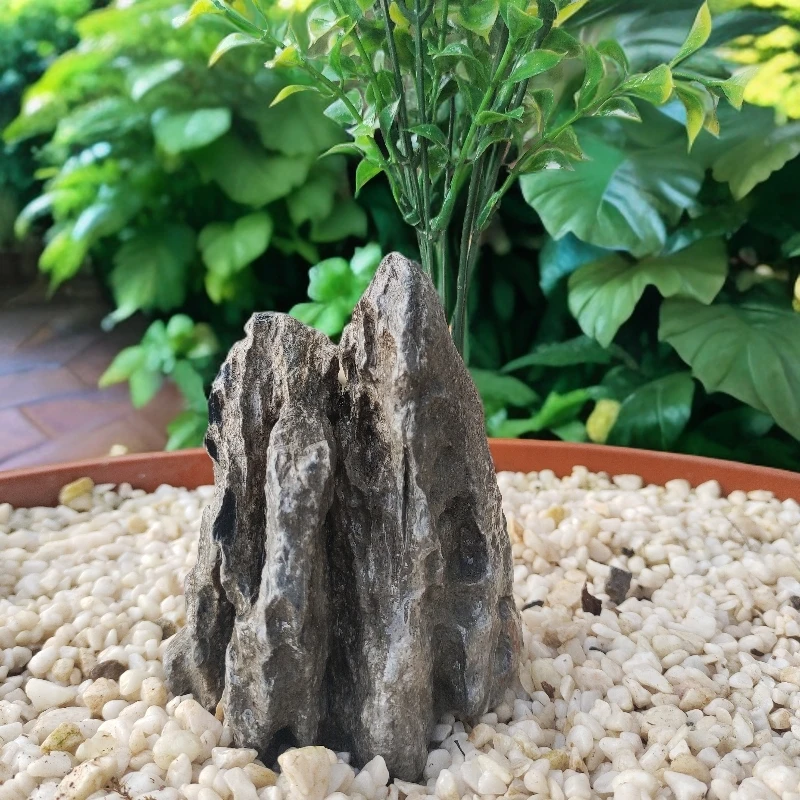 英石室内玄关盆景鱼缸手工造景石青龙石假山批发风化石头卧室颗粒
