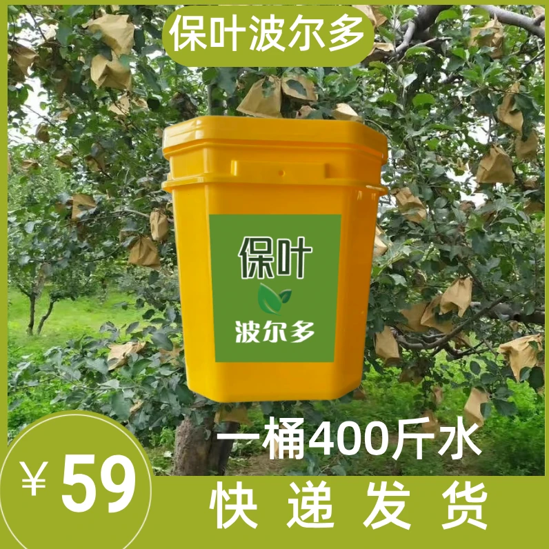 保叶波尔多  一桶400斤水