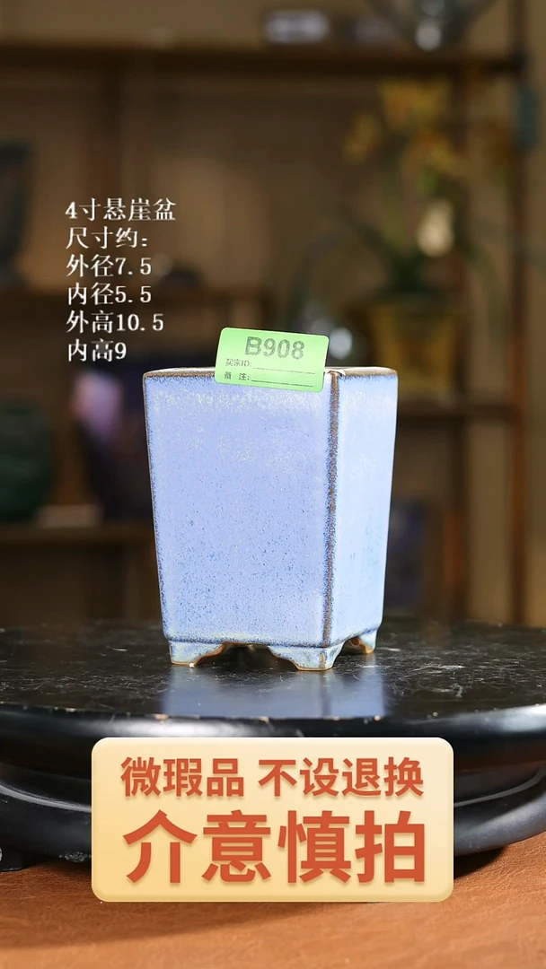 4寸悬崖盆     908