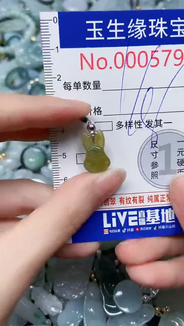 【闪购商品】翡翠颈饰未镶嵌闪购00005794