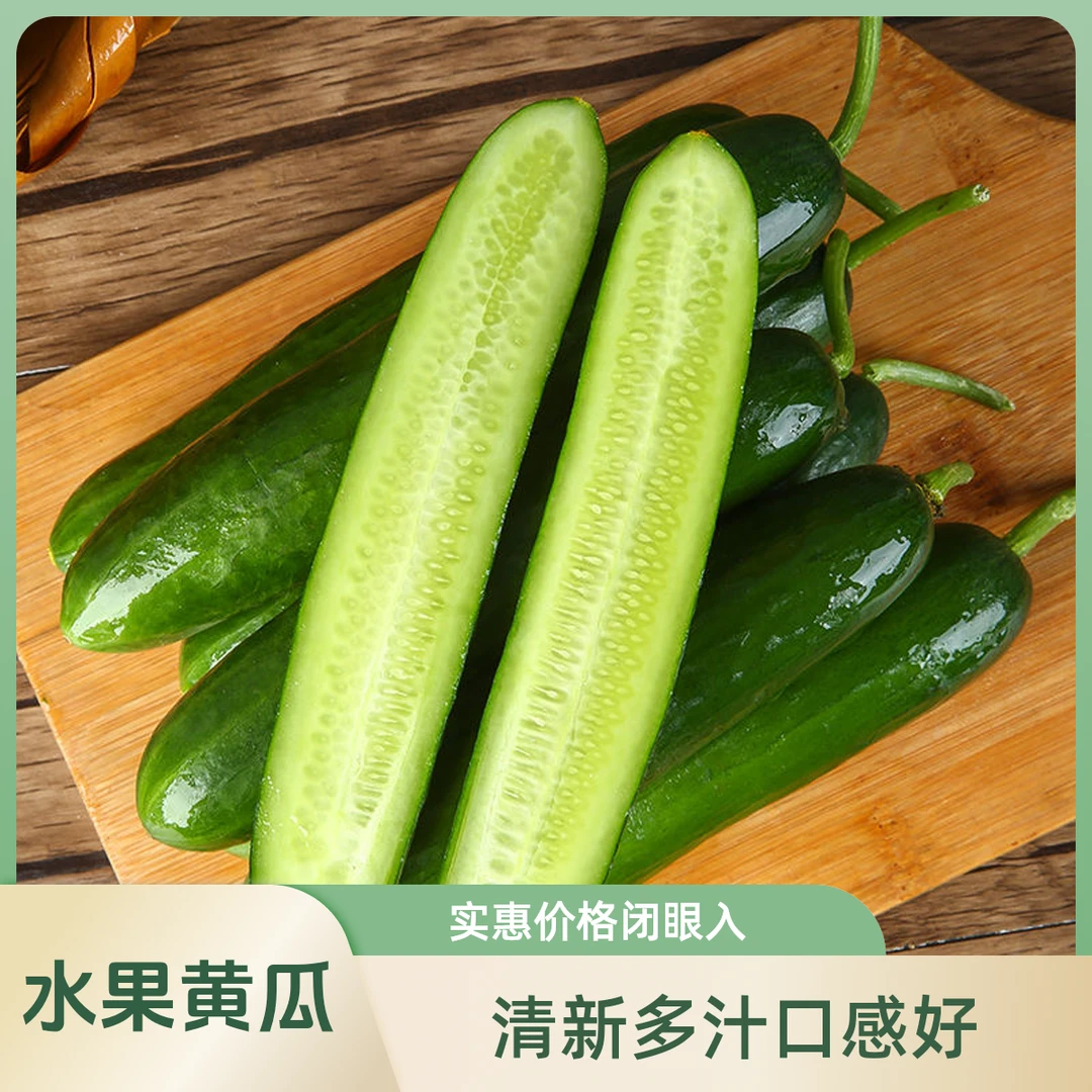 水果黄瓜山东寿光现摘先发新鲜健康生吃即食炒菜绿色蔬菜