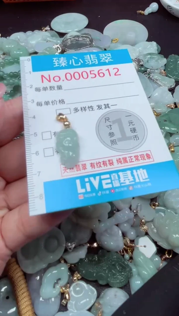 颈饰未镶嵌翡翠5612