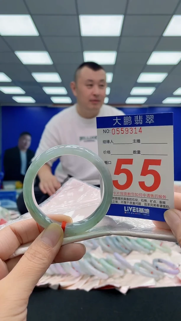 未镶嵌手镯翡翠AAAAAAAAA
