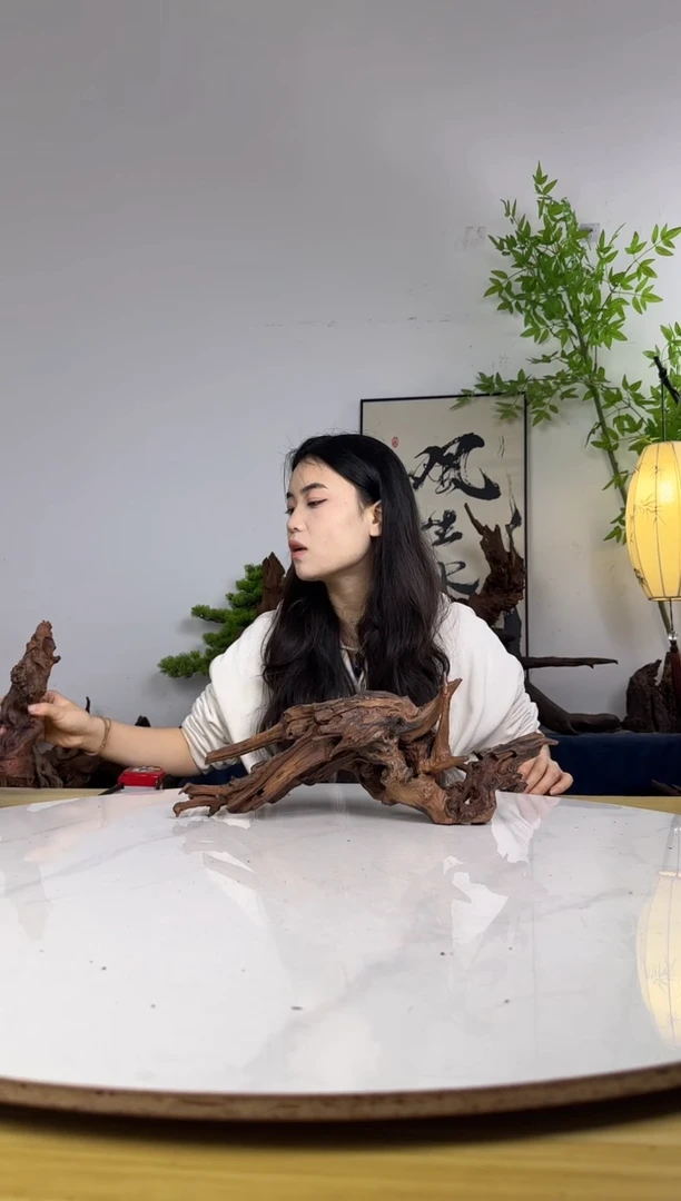 s***k拍沉木定向链接编号14