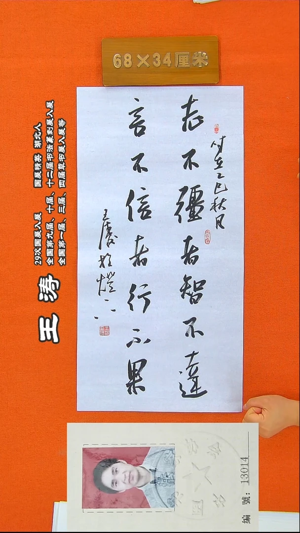 书法207R王涛书法作品