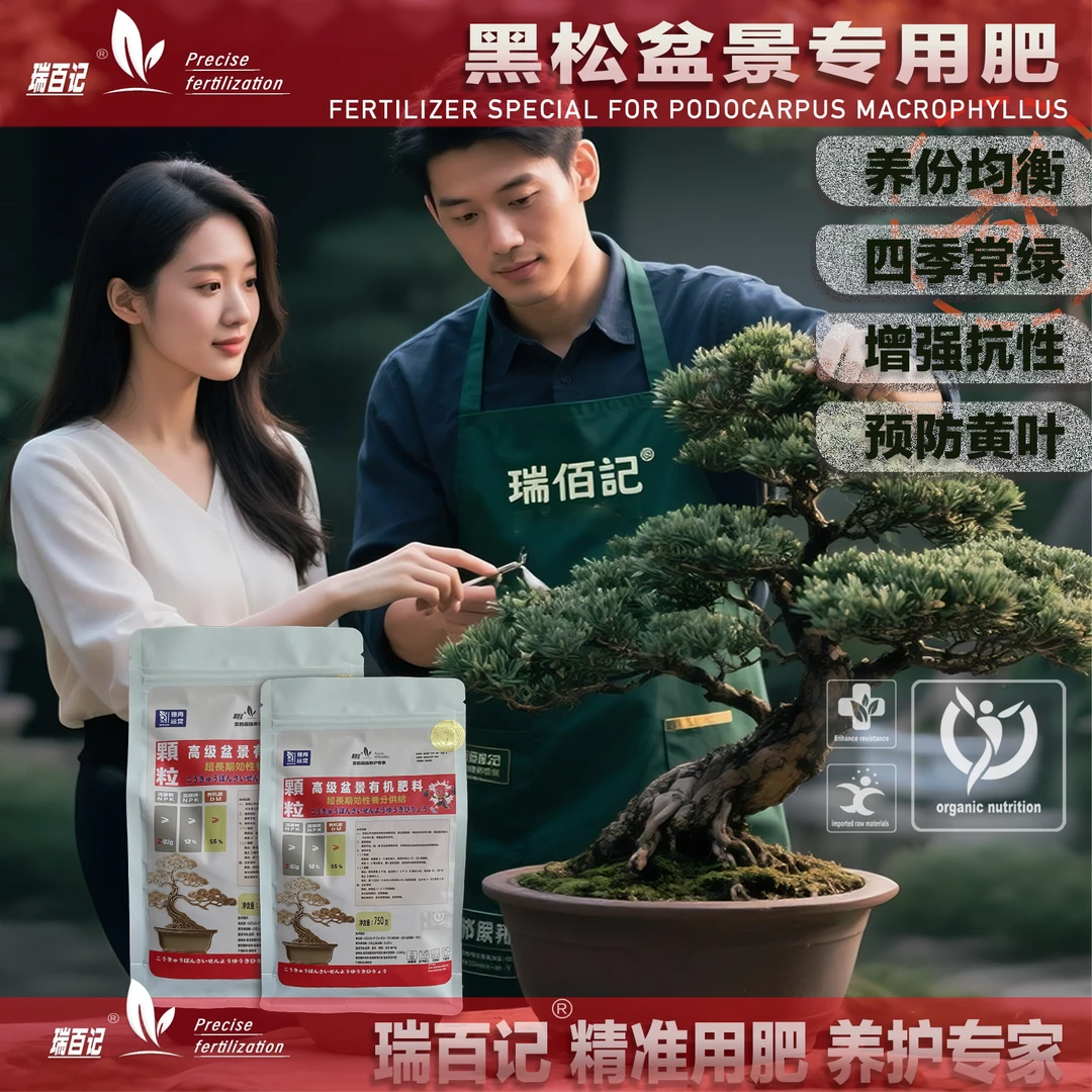 黑松专用肥真柏盆景肥进口原料调配有机专用肥肥料