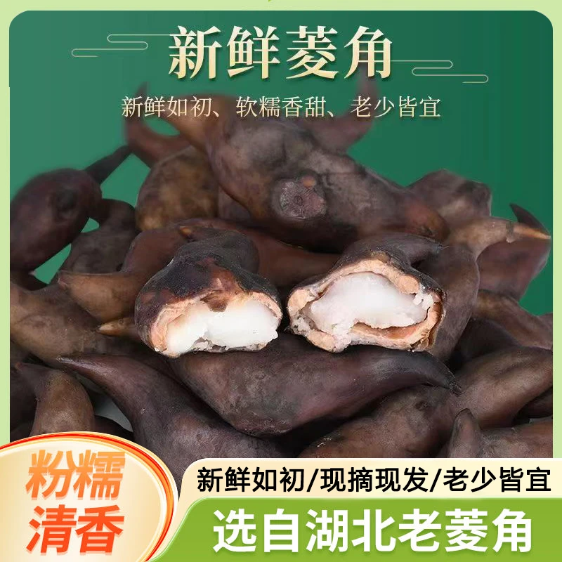 洪湖菱角新鲜生棱角粉糯老菱角现摘现发老少皆宜农家湖北特产包邮