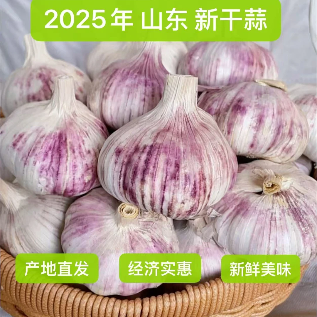 山东金乡紫白皮大蒜农家自种可种可吃ggg