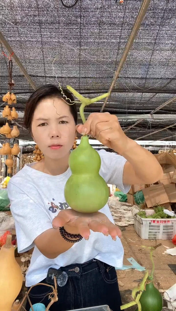 739天然葫芦摆件 一物一拍龙头不保售后