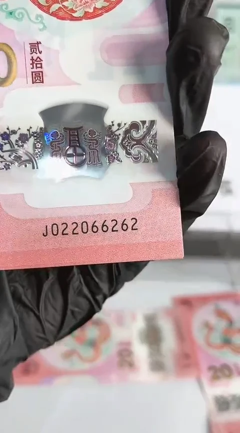 【闪购商品】塑料蛇钞单张号码022066262