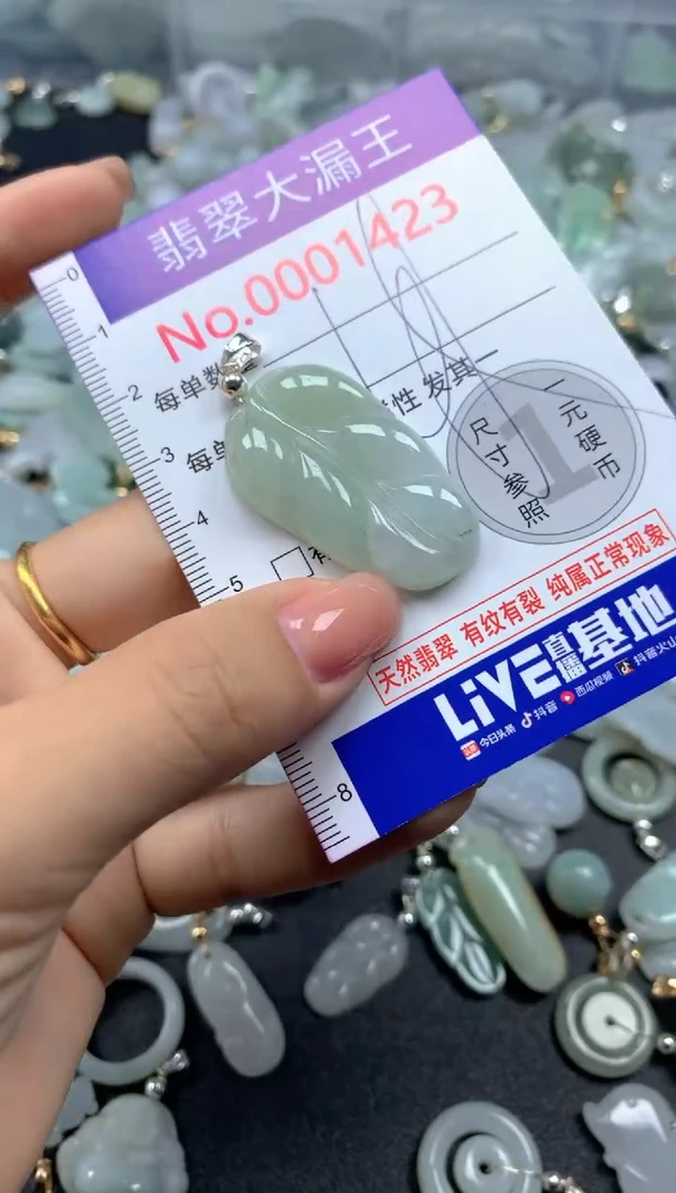 颈饰未镶嵌翡翠1423