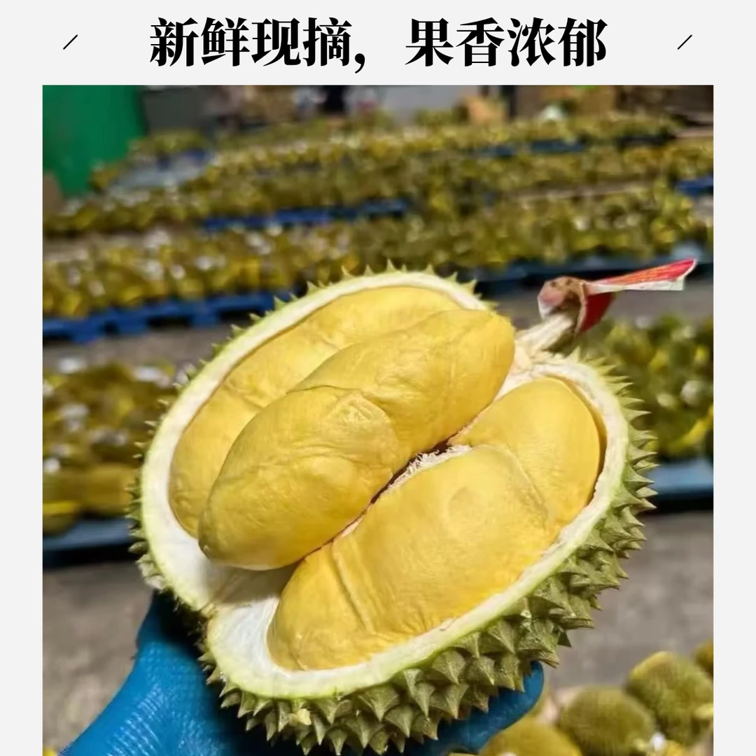 【次日送达甲伦榴莲】A+树熟甲伦鲜榴莲包五房（果核略大介意勿拍）软糯香甜3-7斤 顺丰京东包邮核大甲仑泰国
