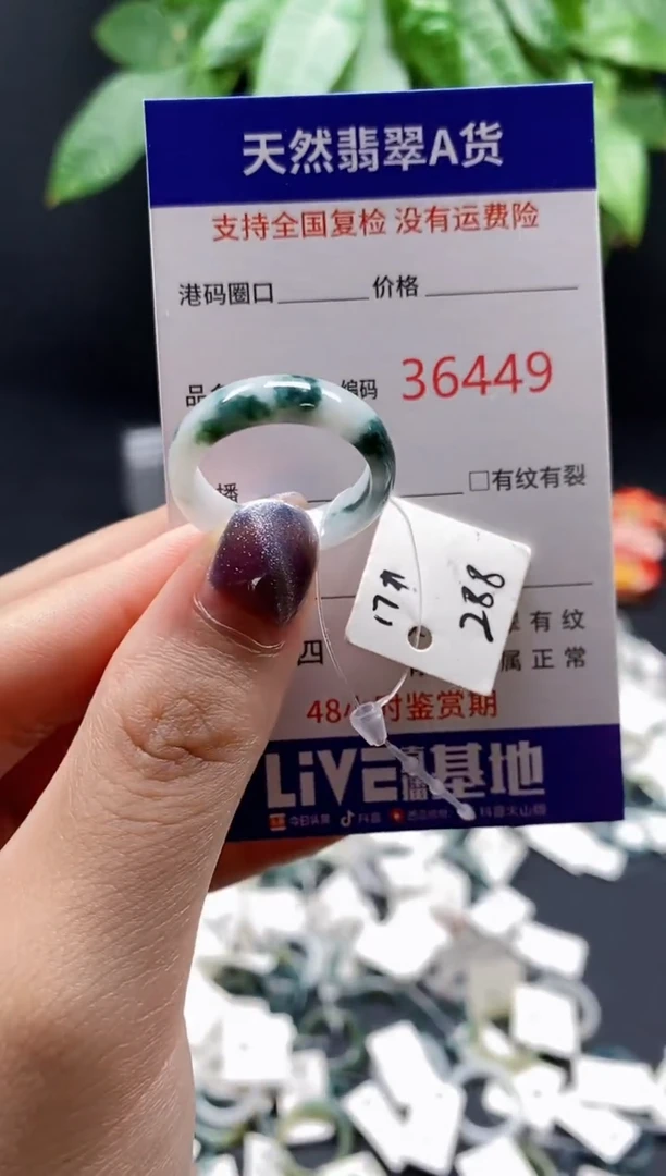 翡翠戒指未镶嵌 天然翡翠戒圈6449