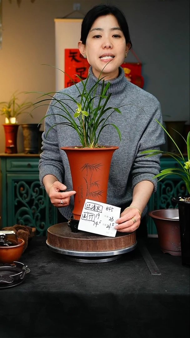 【闪购商品】紫砂花盆845+s紫砂花盆