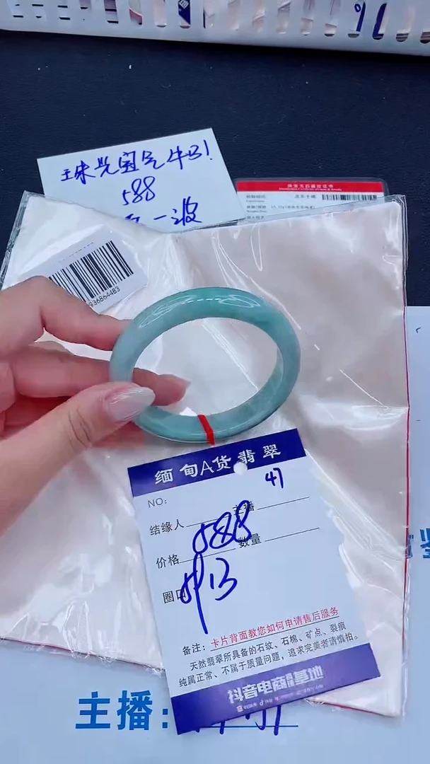 未镶嵌手镯翡翠1