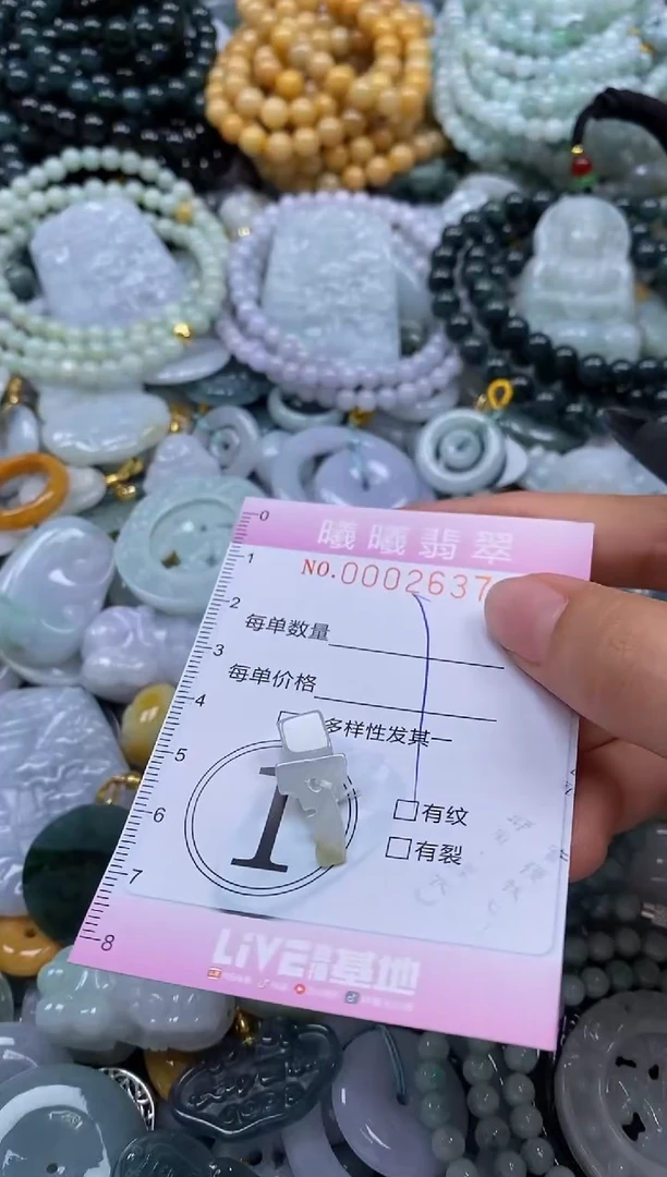 翡翠未镶嵌颈饰闪购0002637