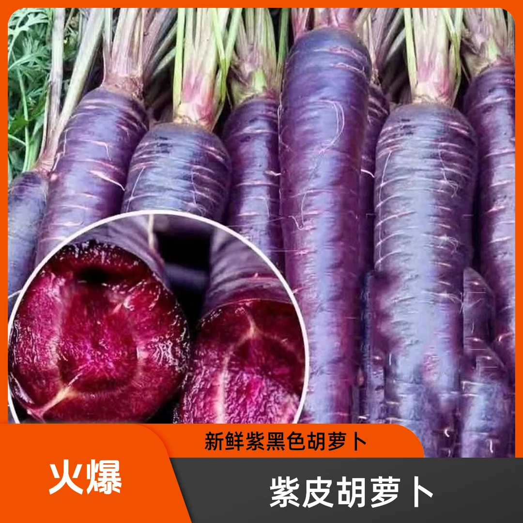 新品紫色胡萝卜新鲜紫皮细条胡萝卜产地直发当季脆甜胡萝卜蔬菜园