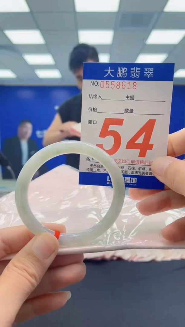 未镶嵌手镯翡翠AAAAAAAAAA