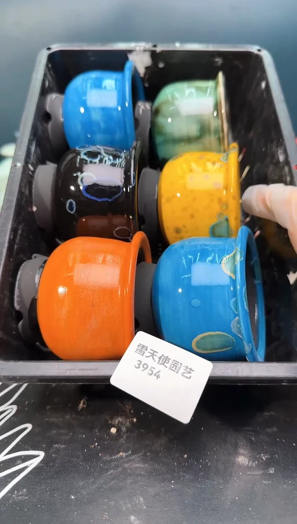 3954  空气盆  6个 默认微瑕