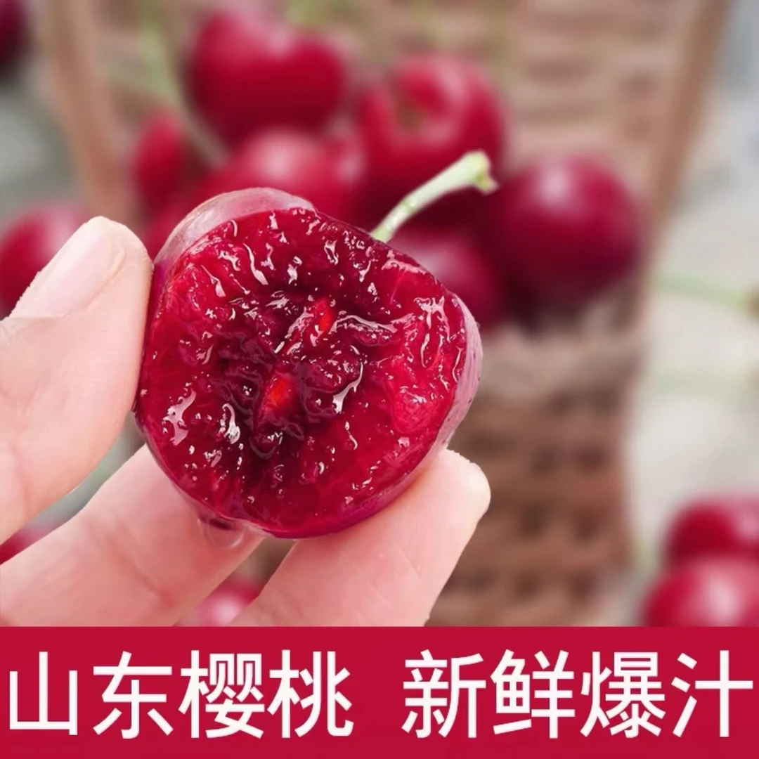 【邮政助农】现摘头茬美早大樱桃脆甜多汁山东烟台应季水果DR