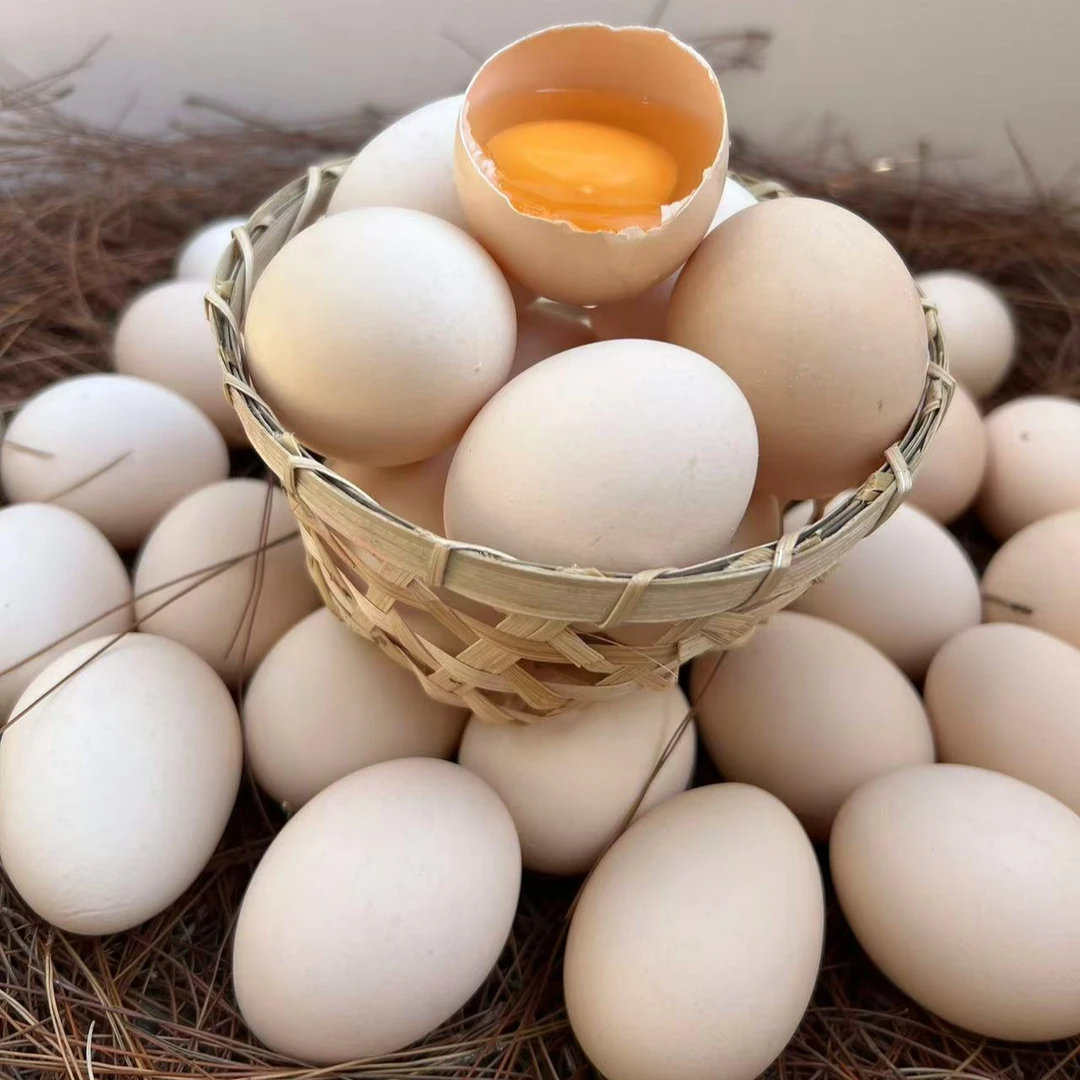 贵州散养跑山鸡鸡蛋【京东/顺丰】包邮