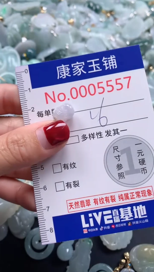 颈饰未镶嵌翡翠5557